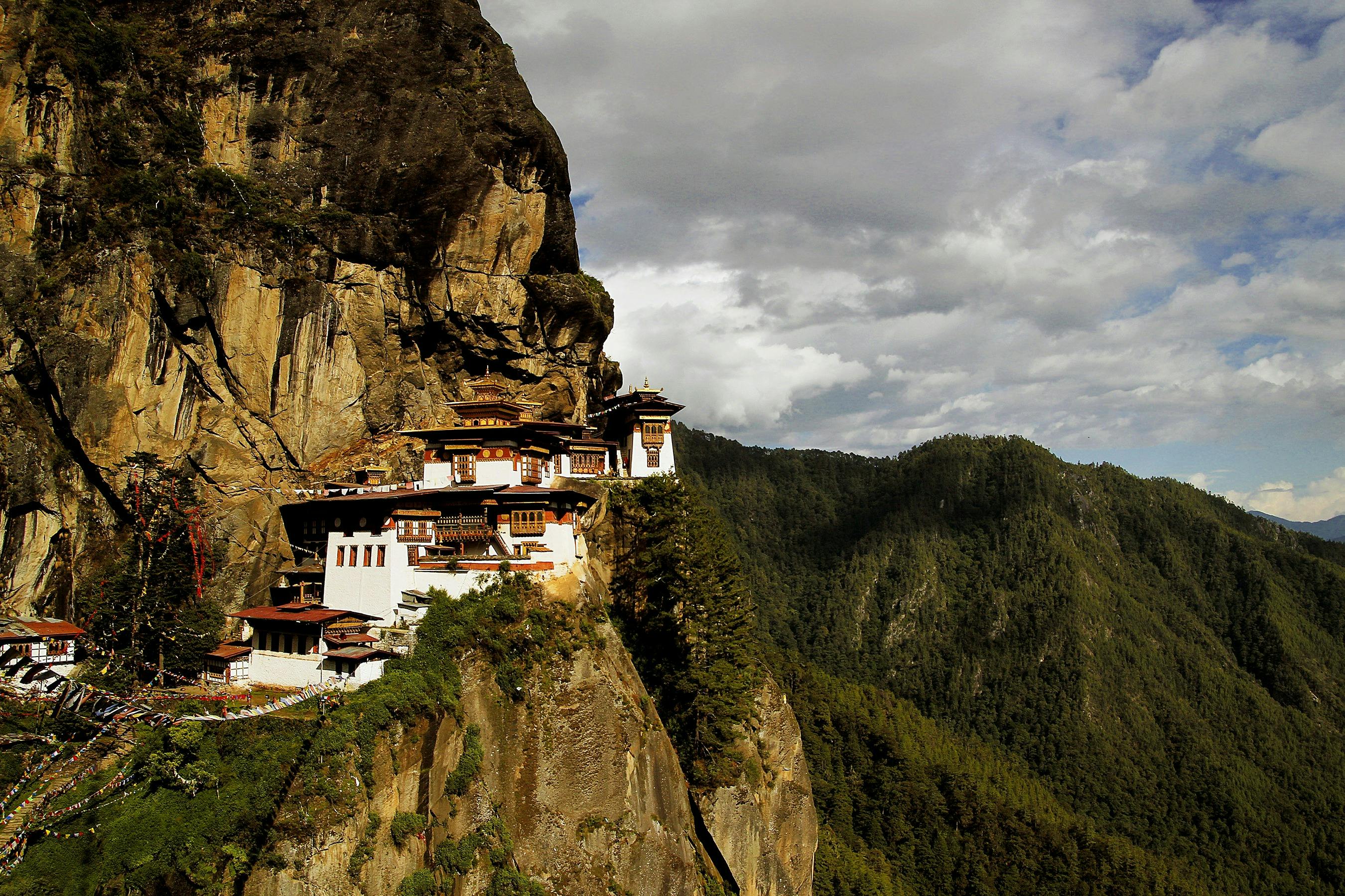 Hidden Gems of Bhutan Tiger